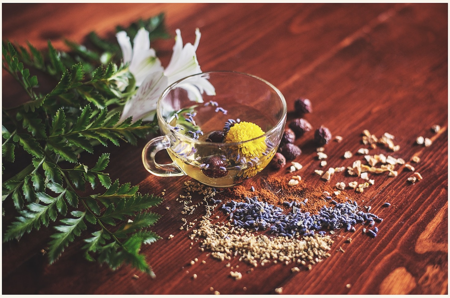 How Ayurvedic Products Can Transform Your Life